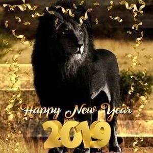 Meet your Posher, Terry